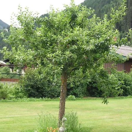 Haus Christophorus Apartman *